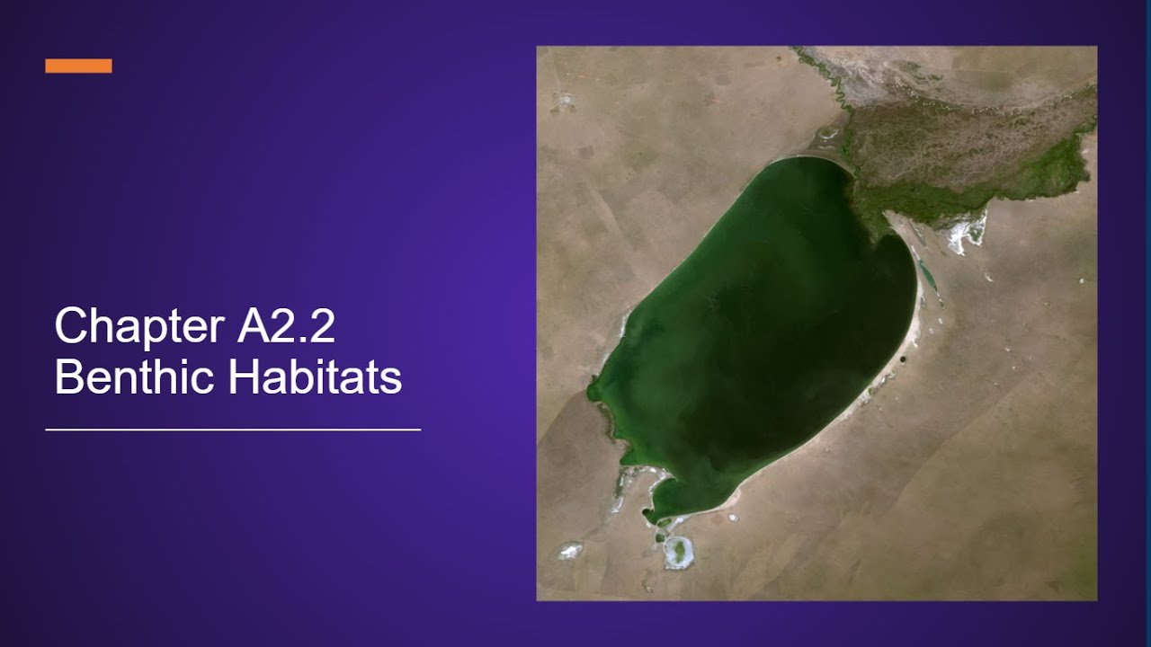 Chapter A2.2 Benthic Habitats