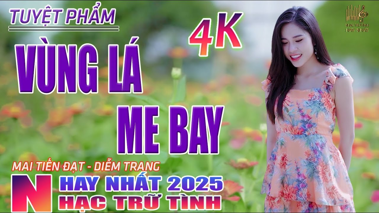Vùng Lá Me Bay, Người Tình Không Đến🛑 Nhạc Trữ Tình Hay Nhất 2025 - Lk Bolero Nhạc Vàng Xưa Bất Hủ