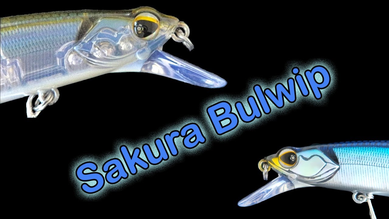 Sakura Bulwip, Up Close