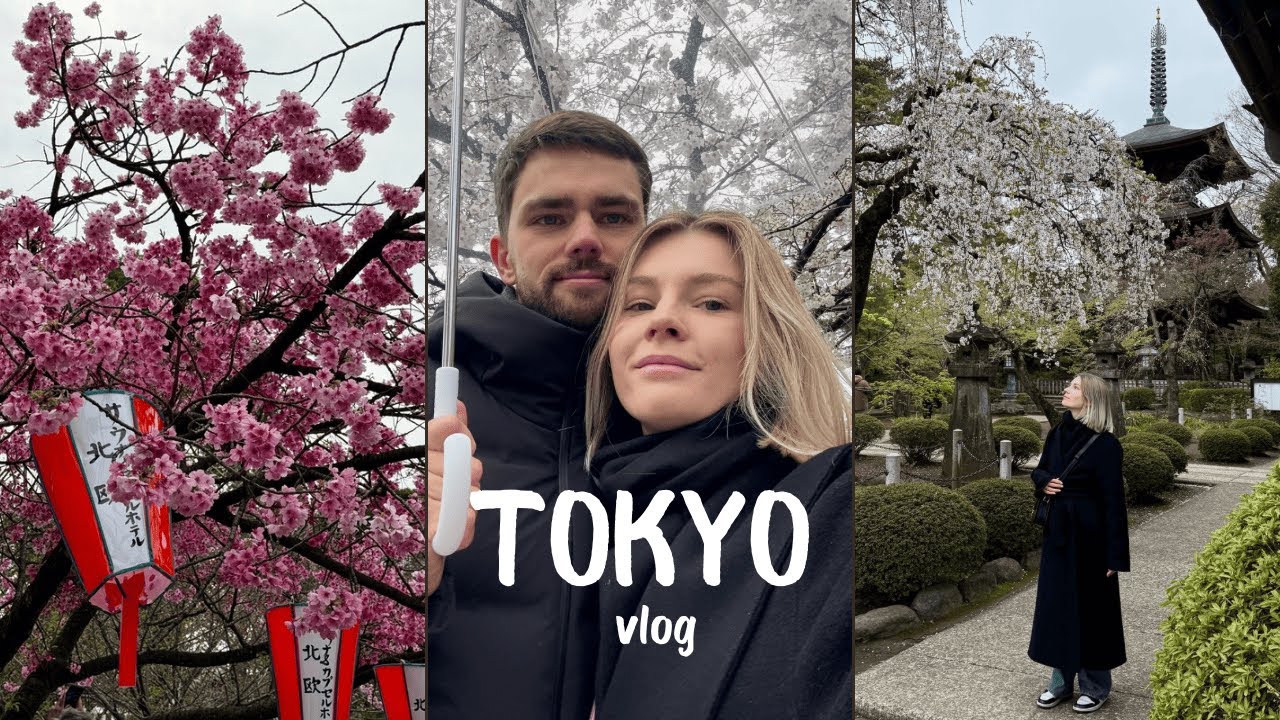 ТОКИО ВЛОГ🌸 Наш первый раз в Японии: сакура, Shibuya Sky, омакасе