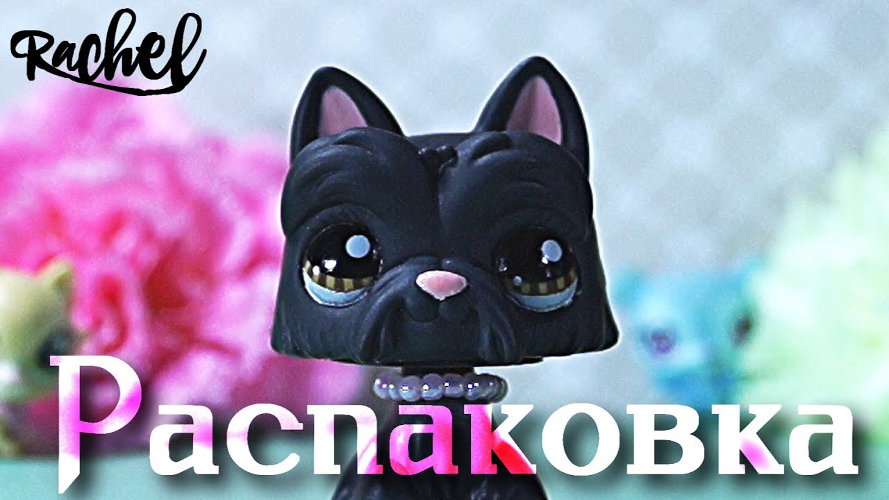 LPS: РАСПАКОВКА #12 (подарок от подписчицы)