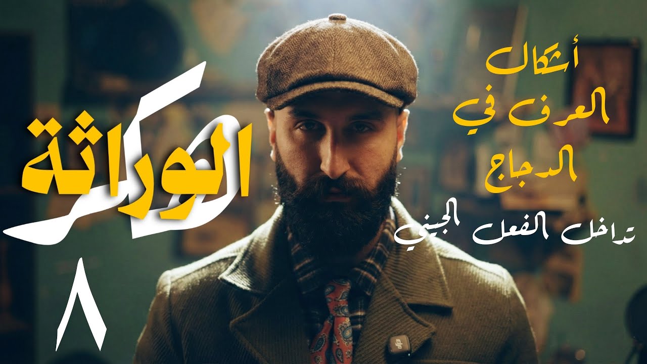 شكل العرف في الدجاج - تداخل الفعل الجيني || الوراثة ٨