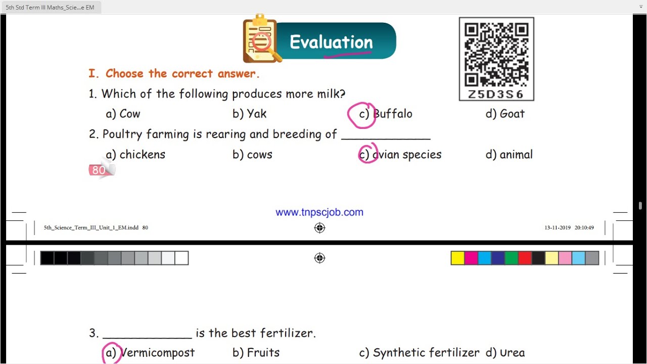 OUR ENVIRONMENT -  EVALATION  - UNIT 1 - TERM-3 - SCIENCE - 5TH STANDARD - ENGLISH MEDIUM