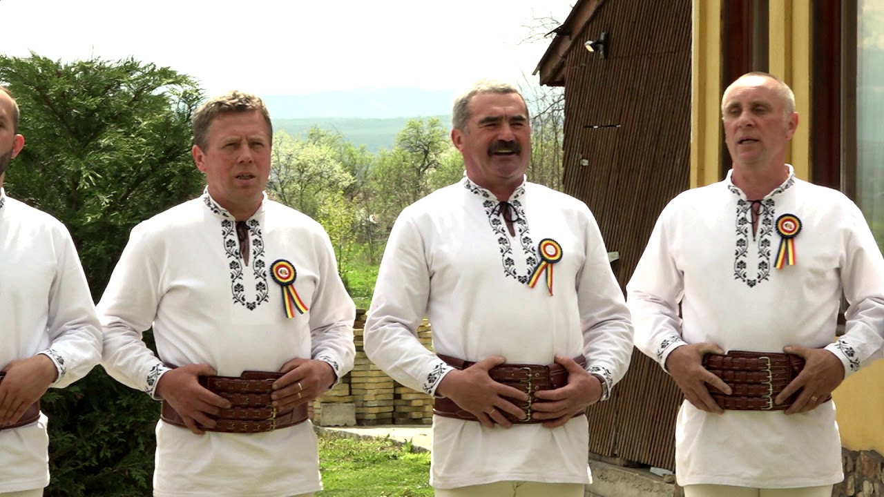 Grupul Tarina Cupru Min Abrud - Foaie verde de mohor