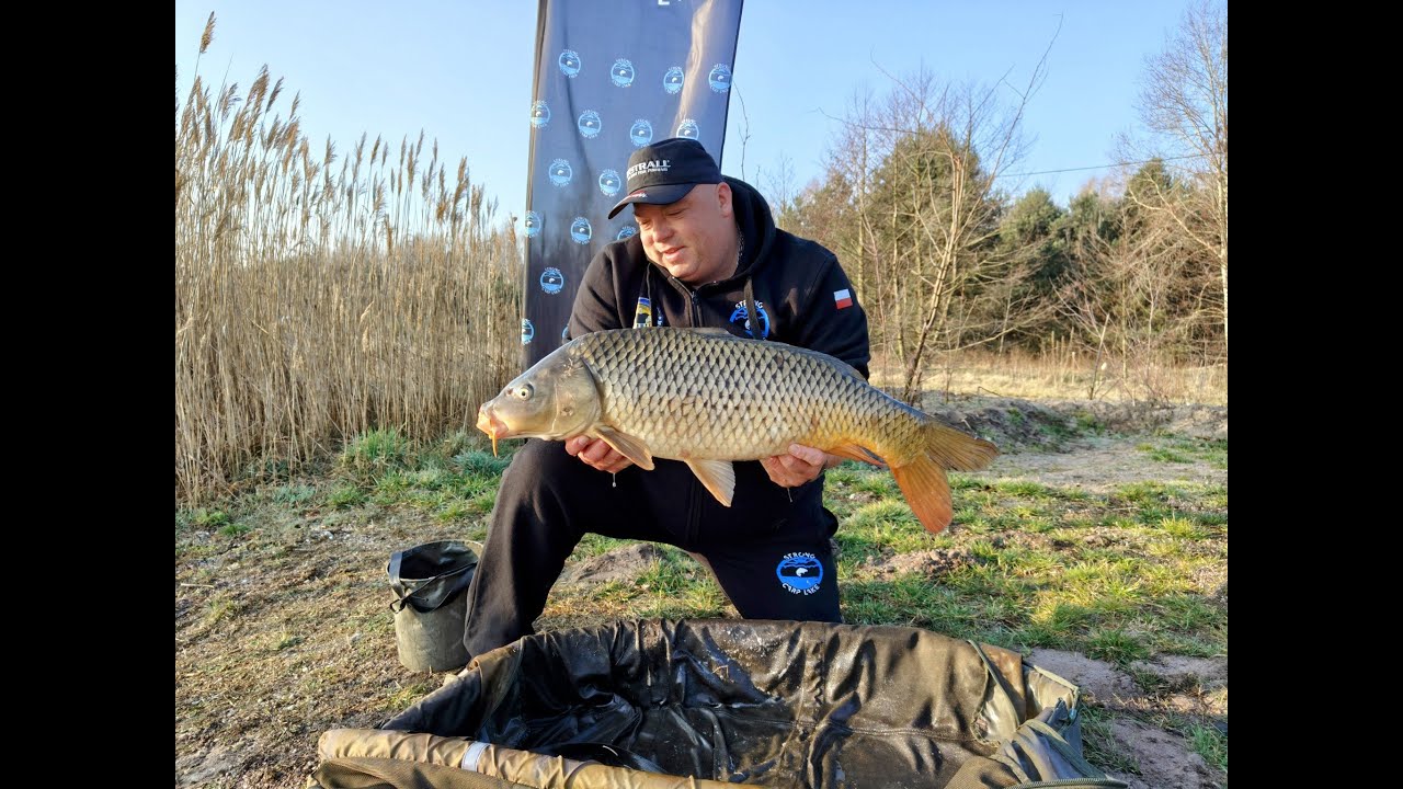 Wędka Mistrall Aqua Carp Slim 3,6m 3,5lb - Mocny sprzęt za rozsądną cenę