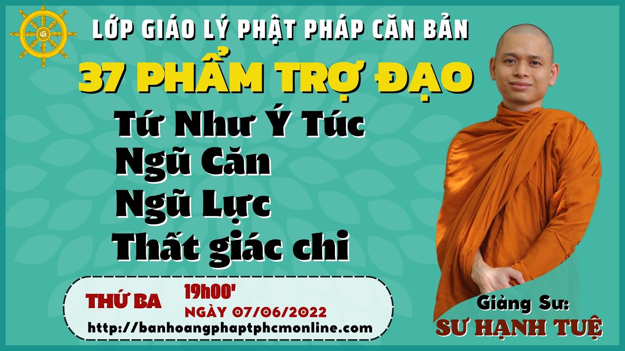 4 như ý túc, 5 căn, 5 lực, 7 giác chi | 37 phẩm trợ đạo | Phật Pháp Căn Bản | sư Hạnh Tuệ
