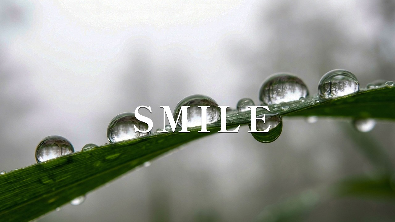 SMILE – Relaxing Guitar for Stress Relief, work and study | Quiet Guitar Corner