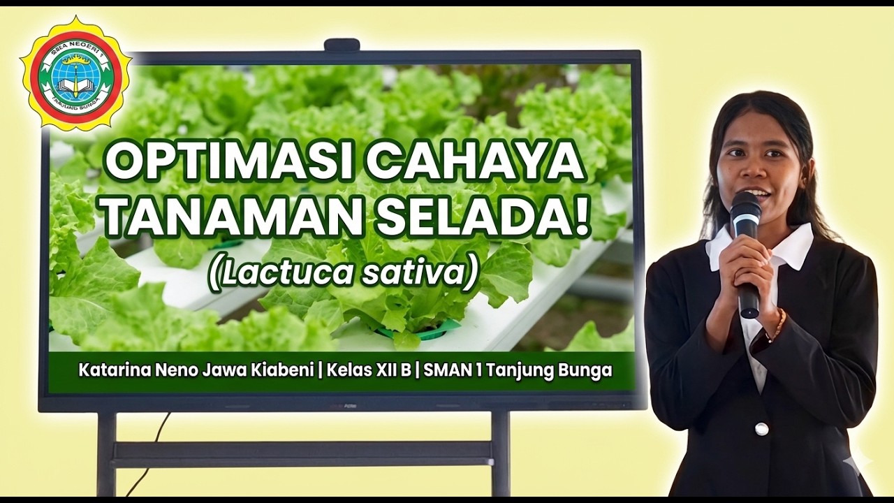 Rahasia Tanam Selada Subur! Pengaruh Intensitas Cahaya | KTI Katarina Neno (SMAN 1 Tanjung Bunga)