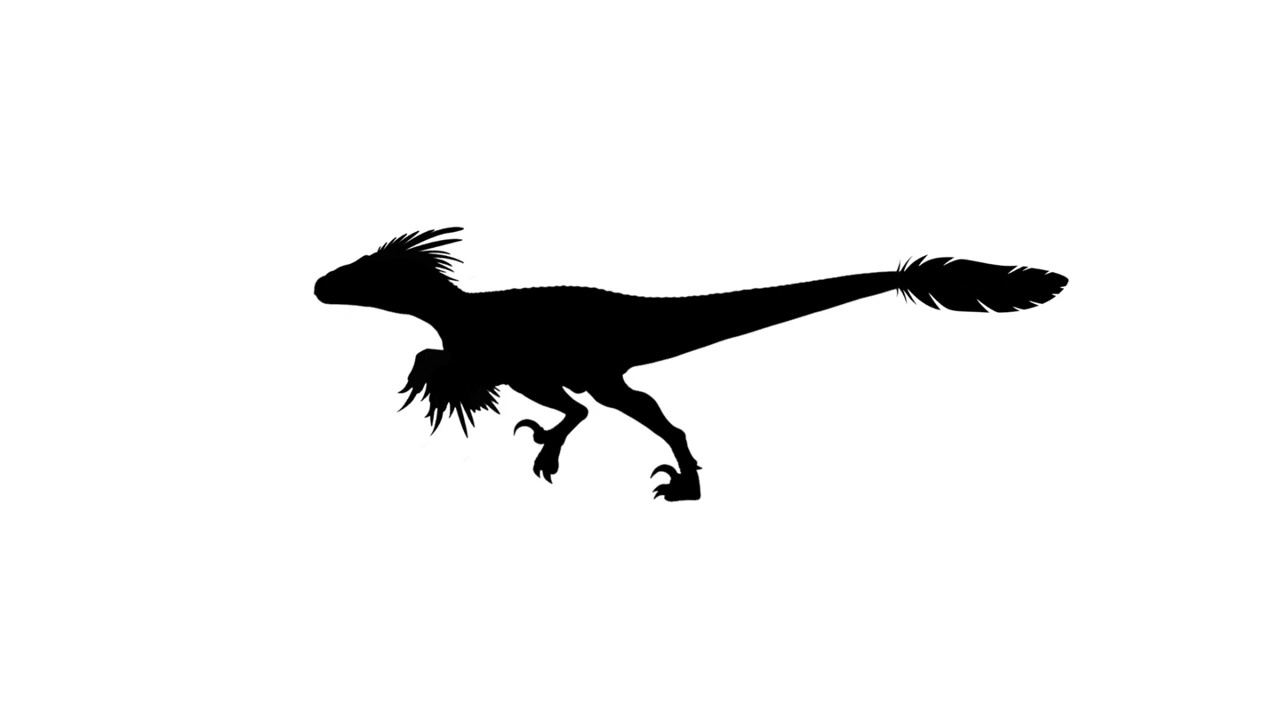 VELOCIRAPTOR CHAMBER - ATM BEAT