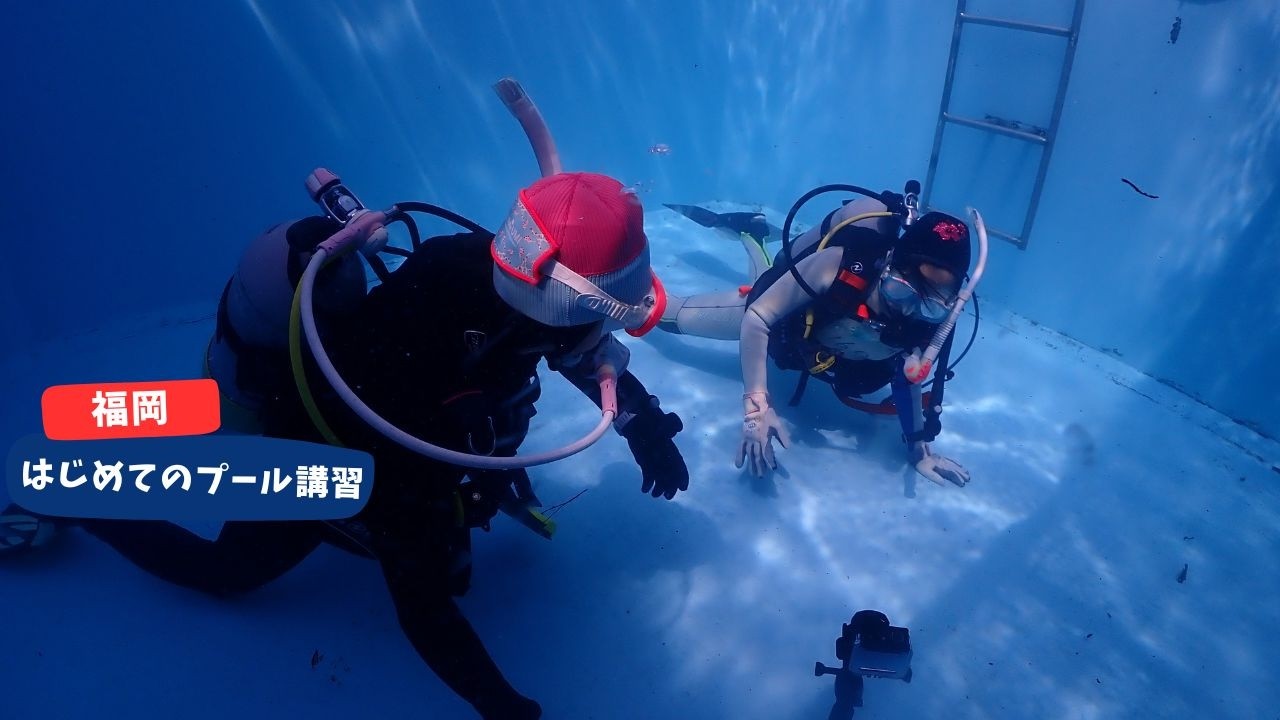 博多美人姉妹のプール講習だよ