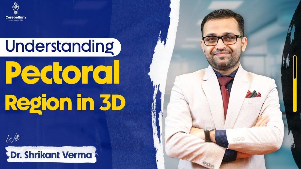 Understanding pectoral region anatomy in 3D with Dr. Shrikant Verma | Cerebellum Academy
