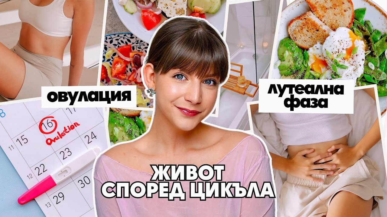 Живот Според Цикъла | Хранене, Спорт и Работа