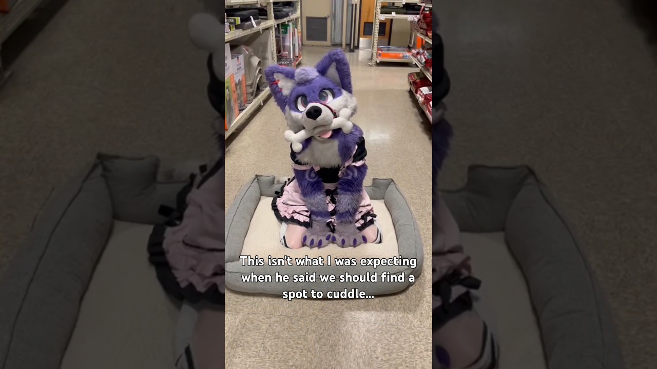 If I fits I sits! 🦴🌸 #furry #femboy #fursuit