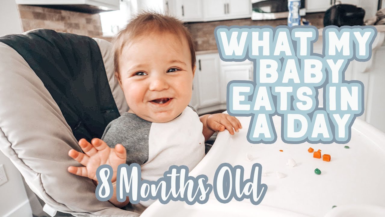 WHAT MY 8 MONTH OLD EATS IN A DAY | BABY LED WEANING MEAL AND SNACK IDEAS