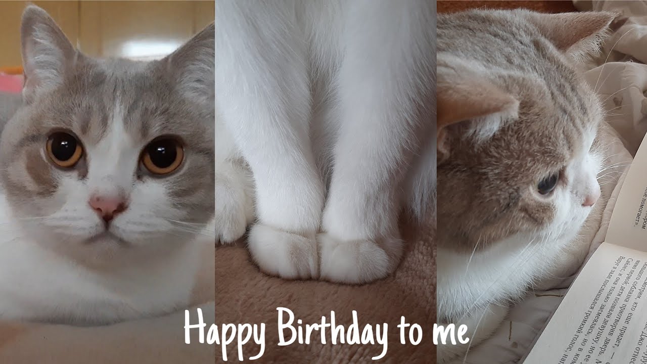 My 4th Birthday | Mithey's Birthday Vlog