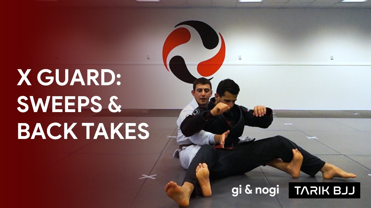X Guard Back Takes & Fishnet Sweep
