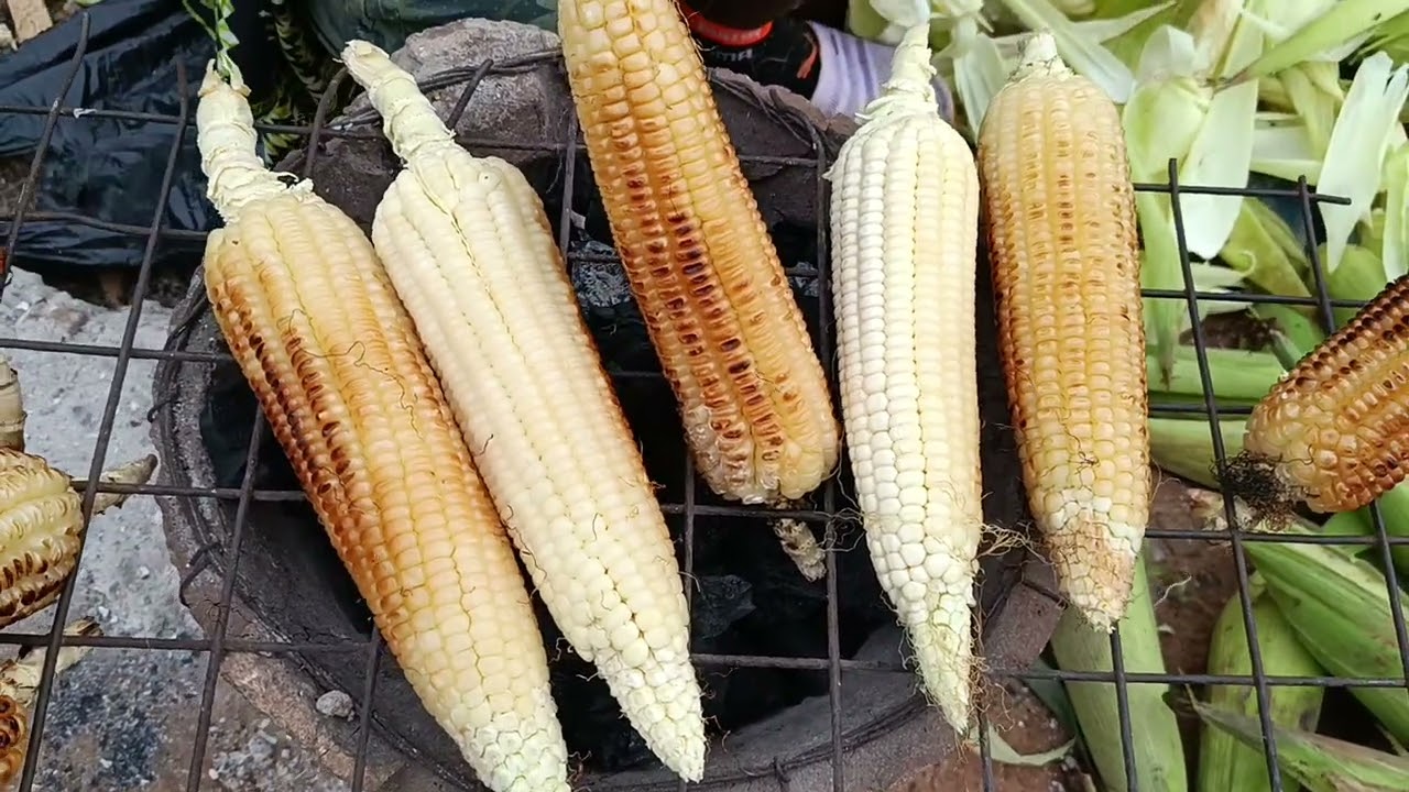 Naked slow roasted maize/corn in the Pearl of Africa