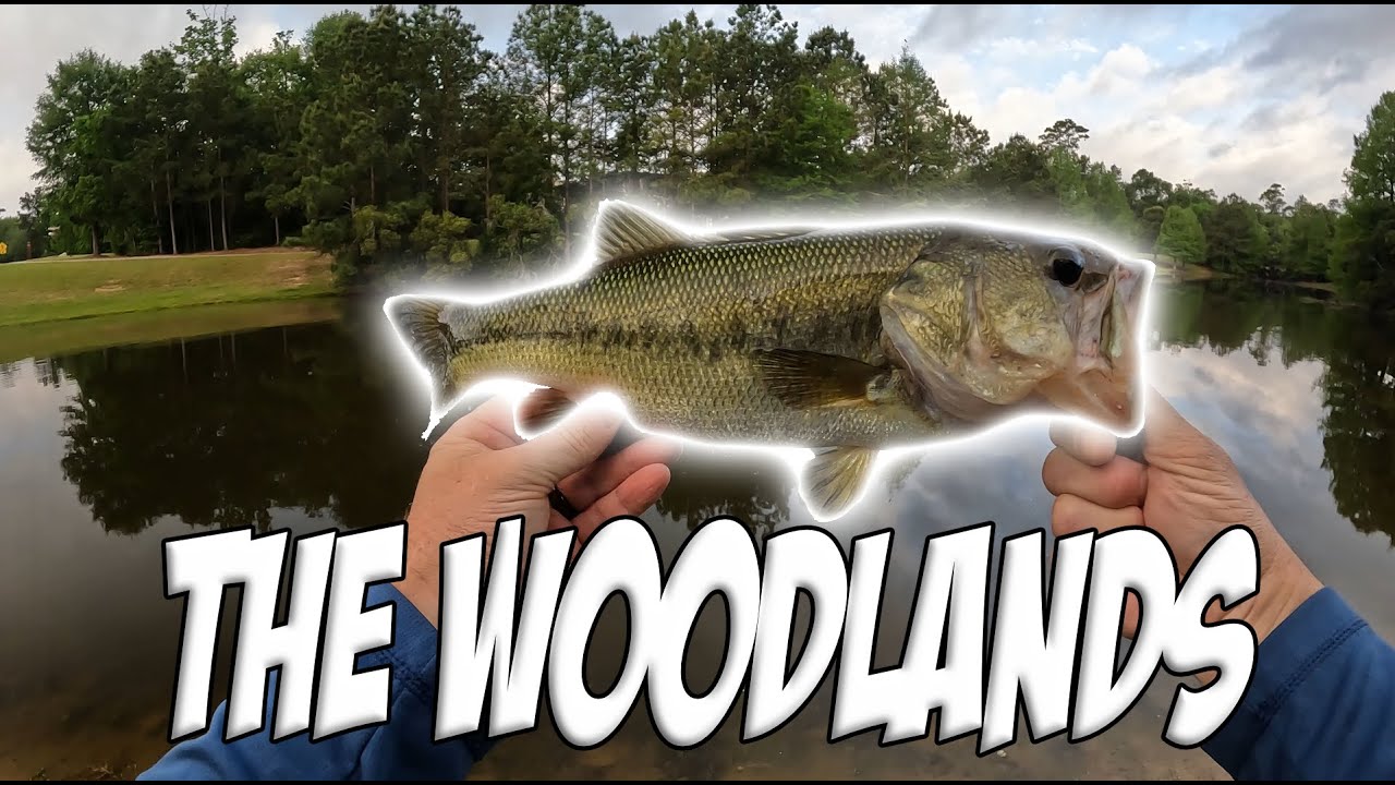 Brainwashed!!!! Romans 8:6. Always bass in the Woodlands!