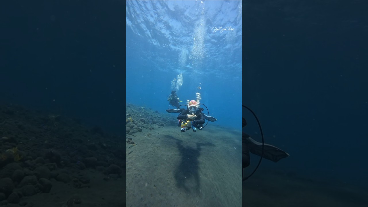 One of my favourites in Bali. Dive Site: Gerombong, Tulamben 