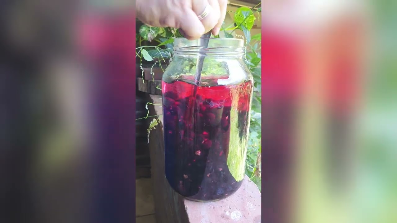Licor de Açaí 