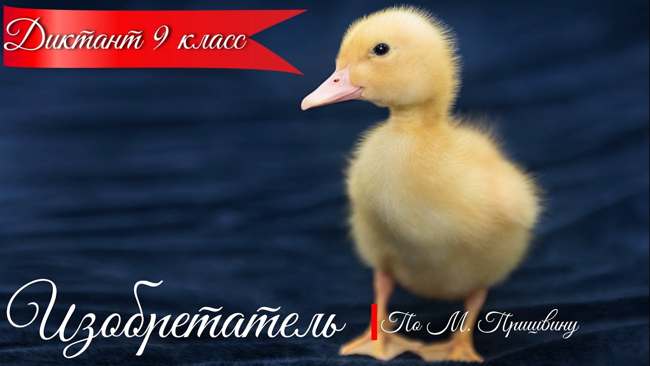 Диктант по русскому языку с проверкой! 9 класс.  Изобретатель #диктант9класс​ #диктант
