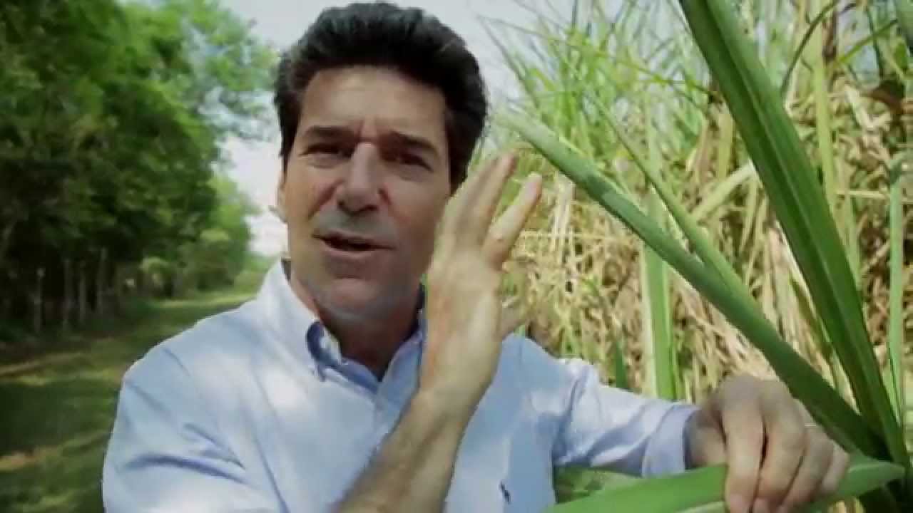 Is this the Future of Global Food Systems?