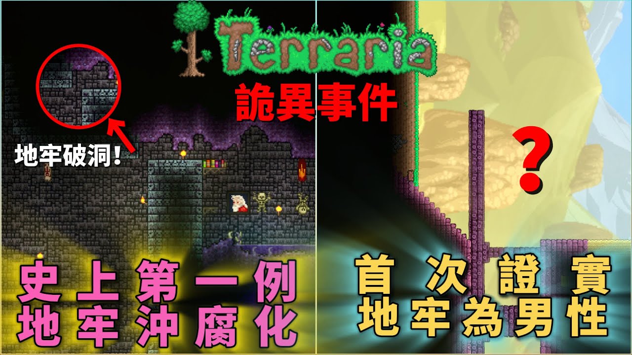 地牢竟是男性！ 泰拉瑞亞這些詭異事件揭示了什麼？ 背景牆篇⑵