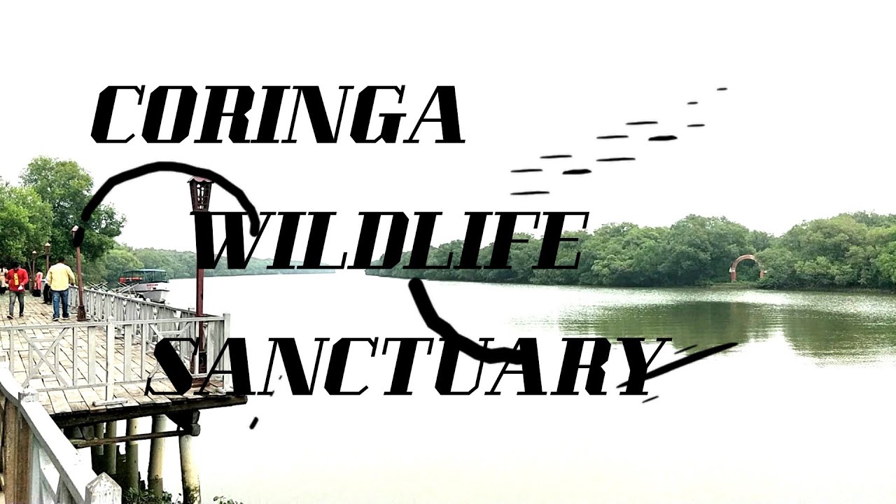 CORINGA WILDLIFE SANCTUARY