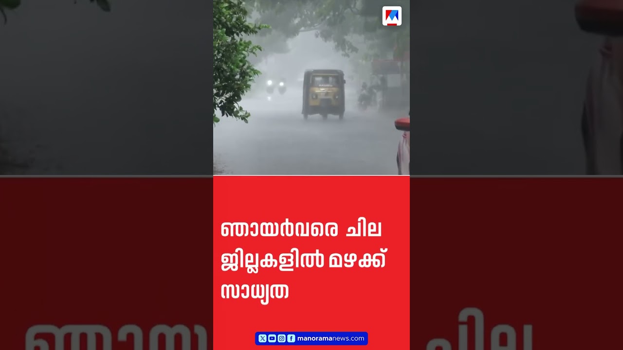 വീണ്ടും മഴ മുന്നറിയിപ്പ്; പത്തനംതിട്ടയിലും ഇടുക്കിയിലും യെല്ലോ അലർട്ട് ​​| Rain