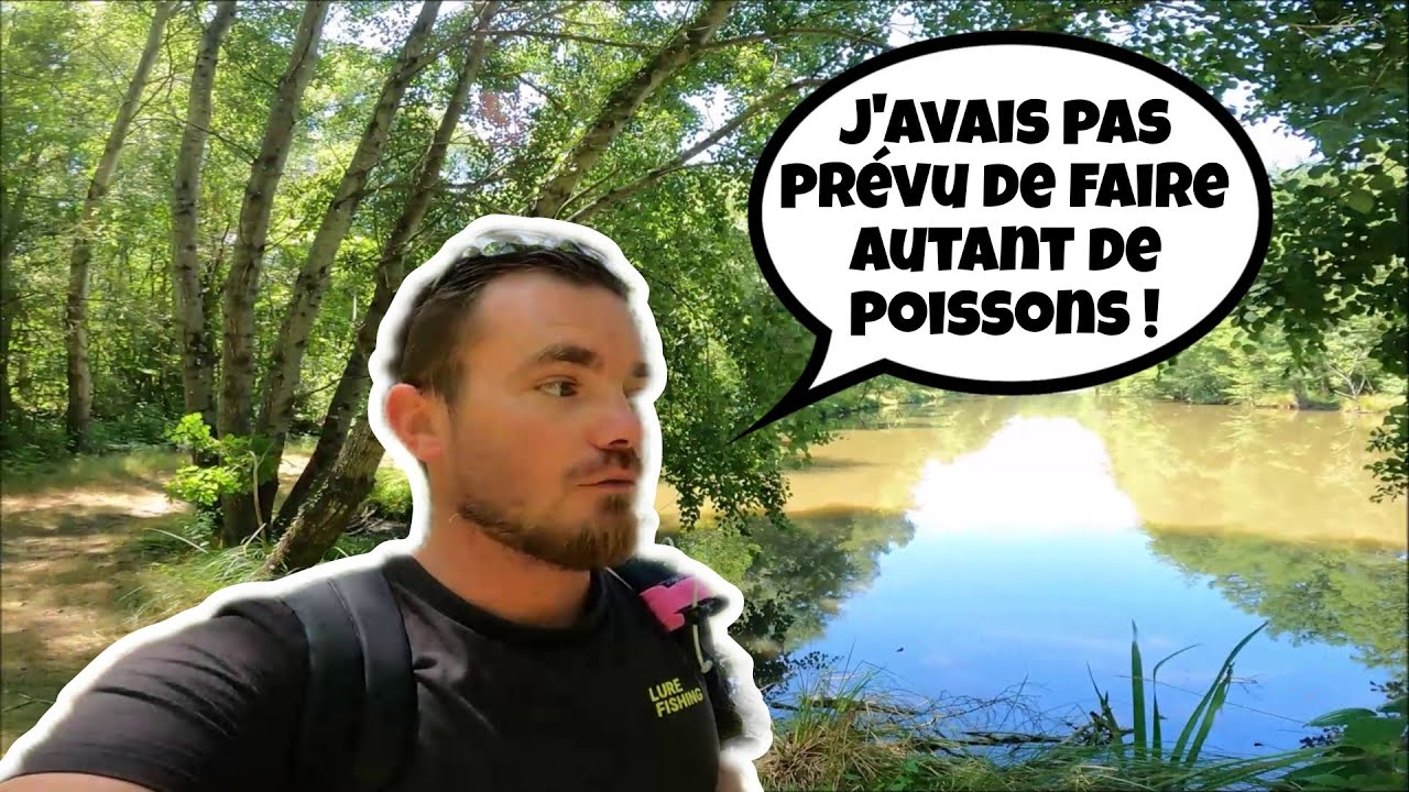 Cet ETANG caché dans la foret réserve de GROSSES SURPRISES ! (1ère partie)