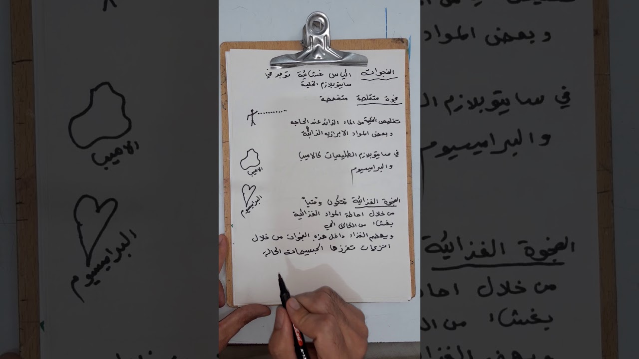 الفجوات    19