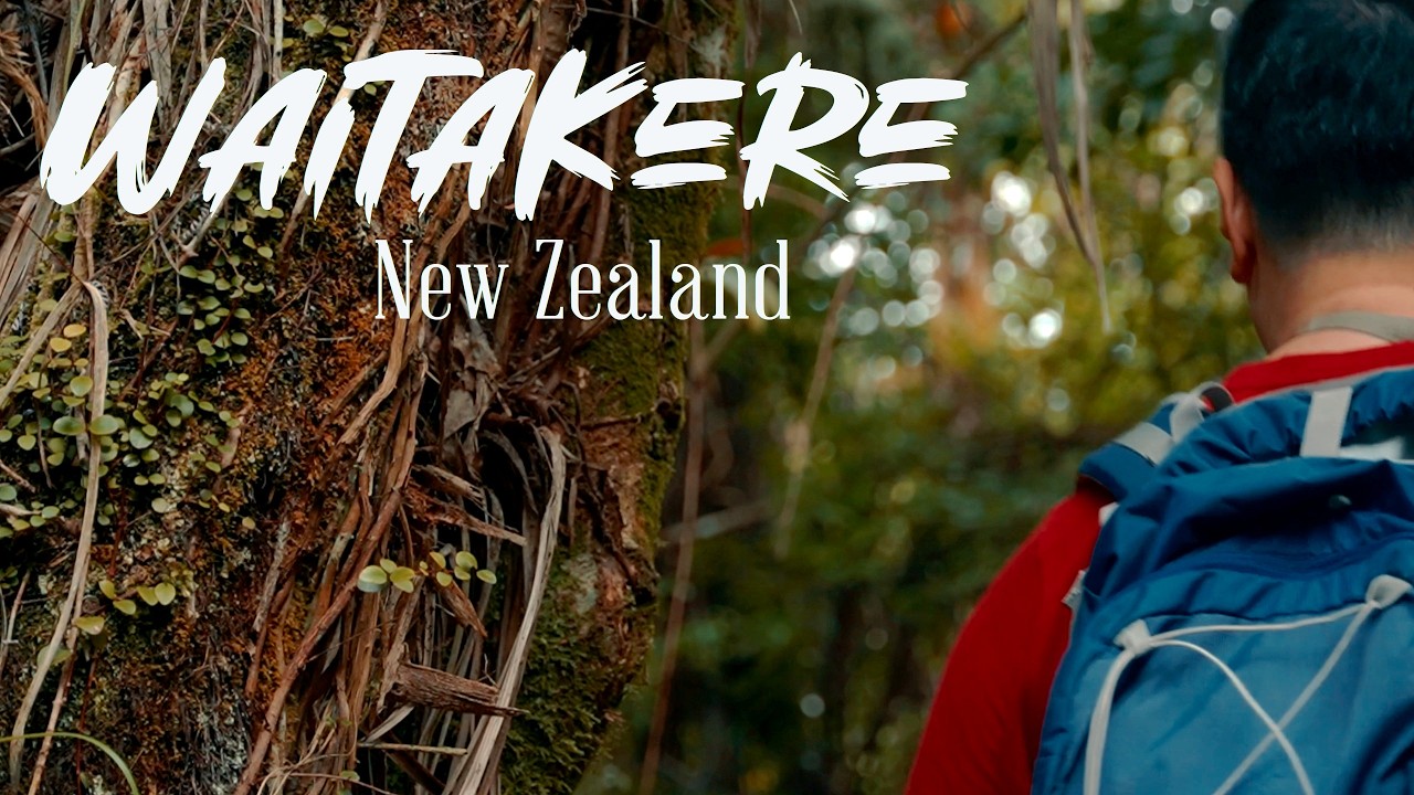 Walking New Zealand's Native RAINFORESTS // A day in the Waitakere Ranges Regional Park