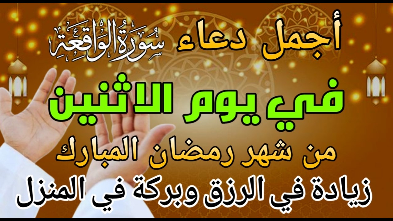 قراءة مؤثرة! دورة واحدة قد تجلب لك الثروة