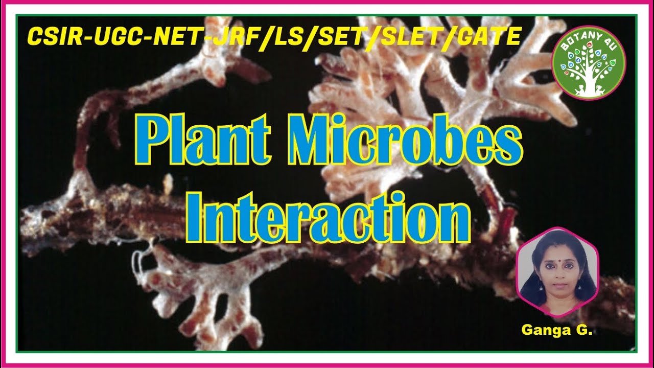 BOTANY 4U | CSIR-UGC-NET | GANGA G | Plant Microbe Interaction