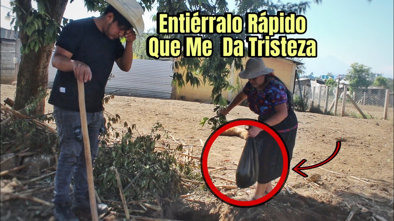 Mamá e hijo tiraban a sus hij0s si nacian niñas  atrás de la casa 😱 como pudieron hacer esto