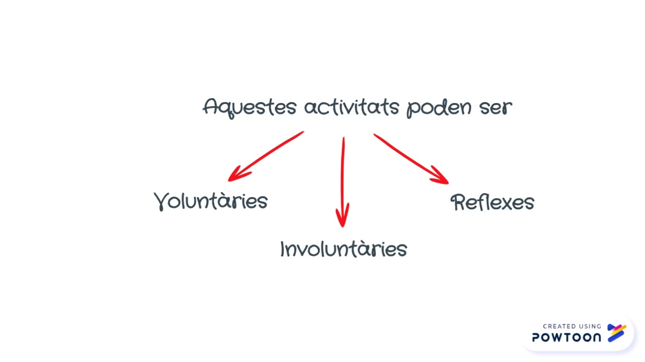 Activitats volunt&agrave;ries, involunt&agrave;ries i reflexes