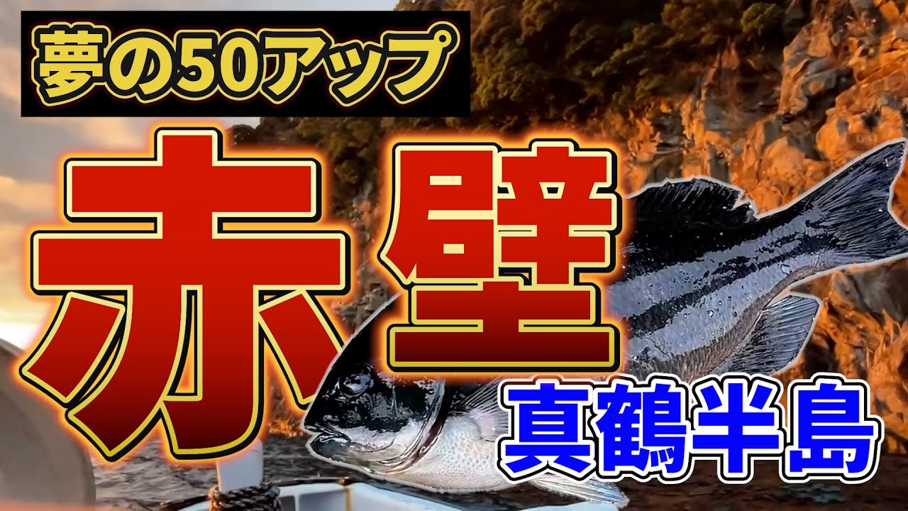 真鶴・赤壁で50アップメジナを狙え！