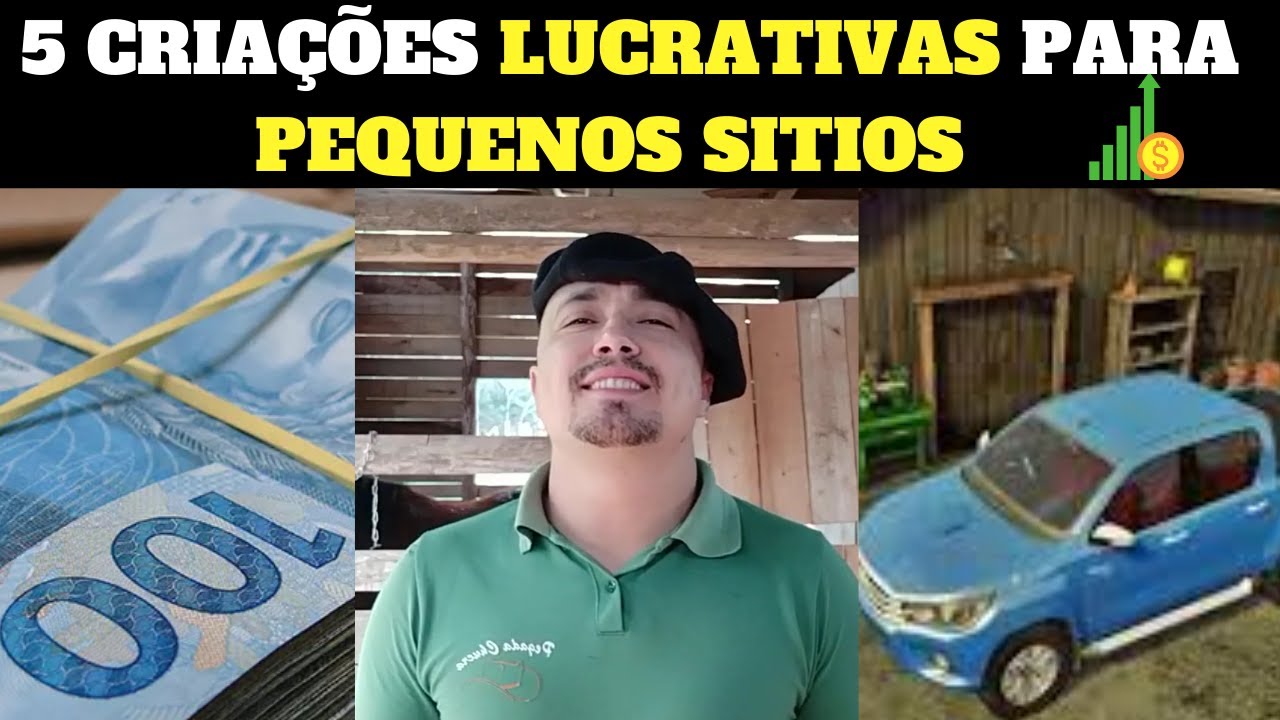 COMO GANHAR DINHEIRO COM SITIO PEQUENO? 5 Criações Lucrativas Para Ganhar Dinheiro no Pequeno Sítio