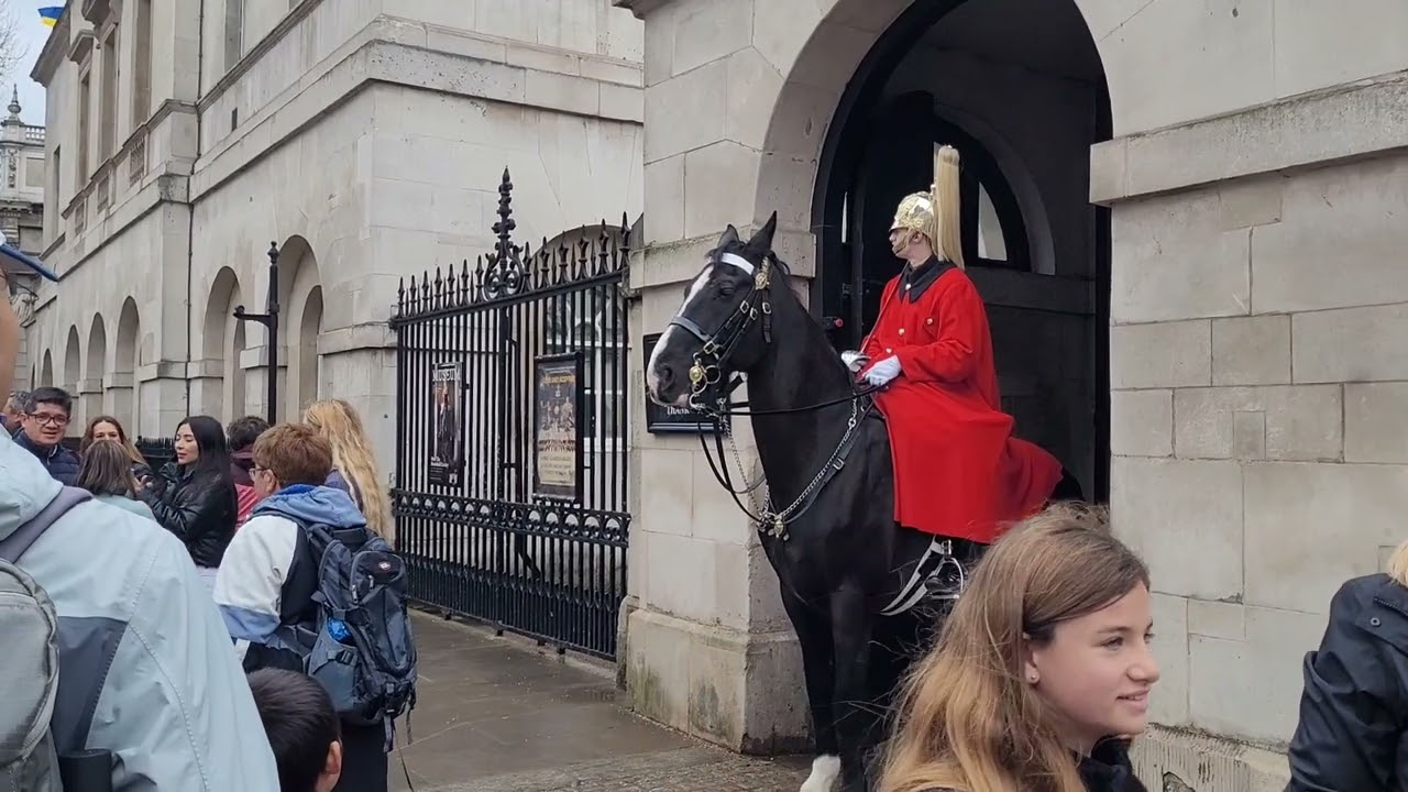 The kings guard comes out of the box to get the police #horseguardsparade
