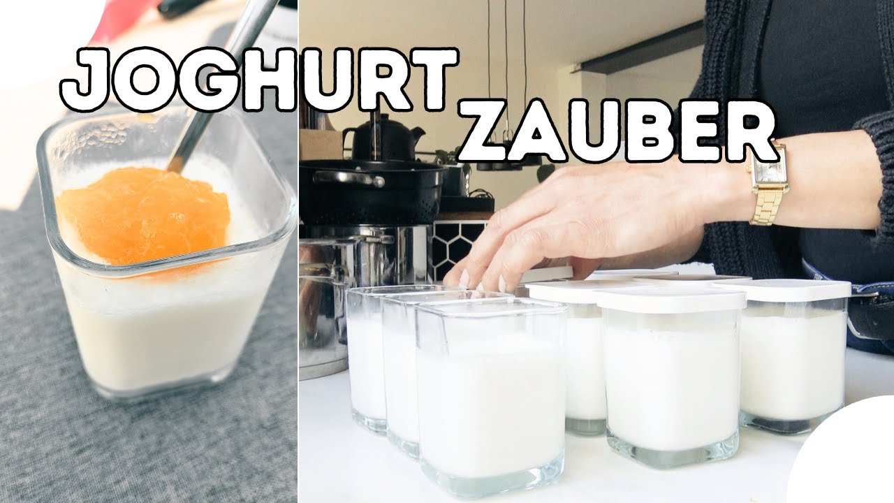 Joghurt ZAUBER 🍮 nur 2 Zutaten! OHNE ZUSATZSTOFFE