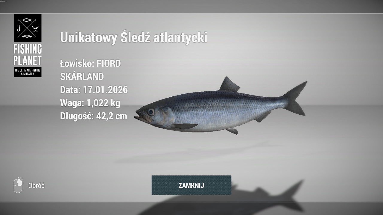 Fishing Planet Unique Atlantic Herring - SKARLAND FJORD NORWAY | Unikatowy Śledź Atlantycki