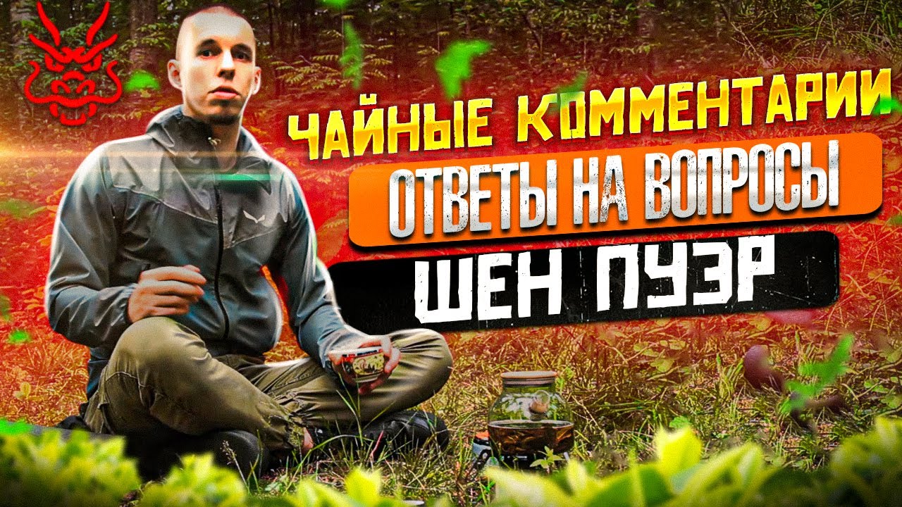 Чайные комментарии: какой чай пить утром, днём, вечером, хранение чая в морозилке, выбор чая по виду