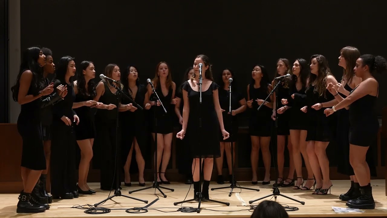 Boy From New York City I Princeton University Tigressions (Davis and Taylor A Cappella Cover)