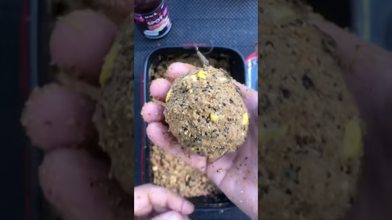 Groundbait pellets corn for carpefishing #carpfishing #fishing #carpiste #mack2 #groundbait #carp