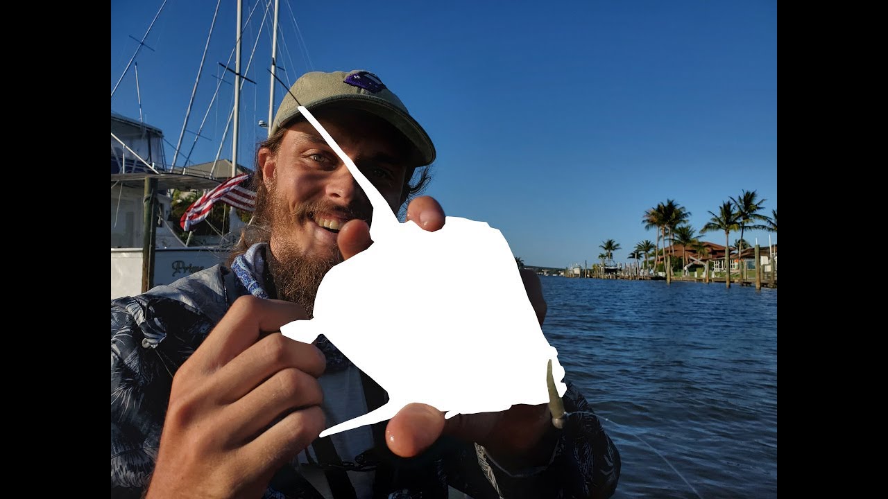 I Did Not Expect This New Species While Snook Fishing the River!! (Swordspine Snook Hunt #7)