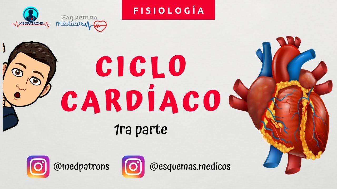 Fisiología: ciclo cardíaco y diagrama de wiggers paso a paso |Medpatrons| *PARTE 1*