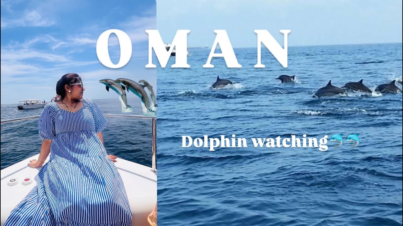 Dolphin Watching in Muscat,OMAN🇴🇲||Unforgettable Ocean Adventure||Experience and details||