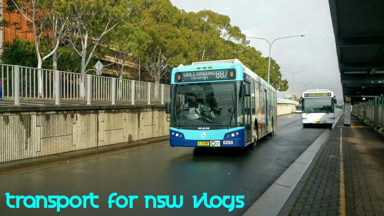 Transport for NSW Vlog No.1018 Campbelltown Buses part 2