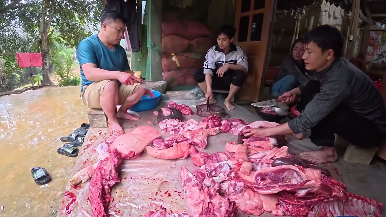 #910. Về nhà trong đêm và đón tất niên sớm, phiêu lưu trong rừng