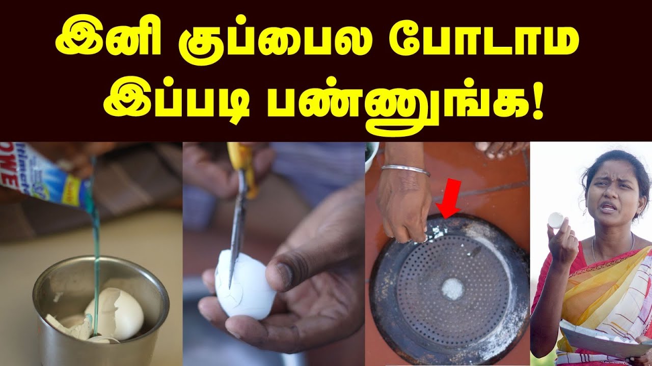 இனி முட்டை ஓடுகளை தூக்கி போடாமல் இந்த மாதிரி பயன்படுத்துங்க | Best Way To Use Eggshell | Home Tips